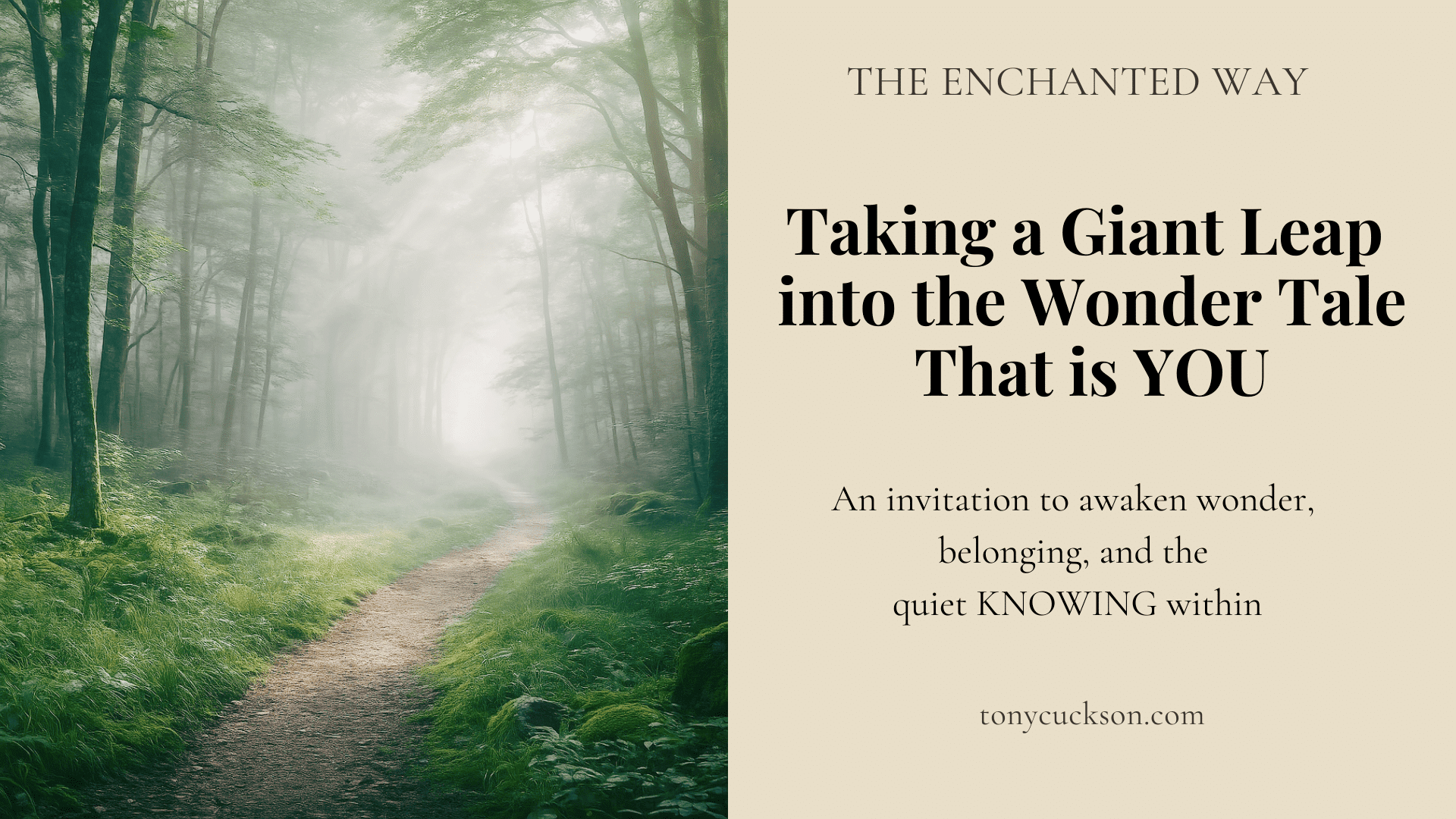 Misty forest path leading into soft white light beside title text about taking a giant leap into the wonder tale of your life